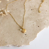 Seashell Necklace Gold